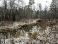 The banks of a small forest river in the early winter in the Middle Urals Royalty Free Stock Photo
