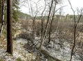 The banks of a small forest river in the early winter in the Middle Urals Royalty Free Stock Photo