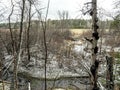 the banks of a small forest river in the early winter in the Middle Urals Royalty Free Stock Photo