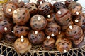 Banksia Seed Pod Ornaments