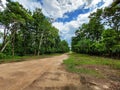 A road inside the Bankura Forest or Joypur Forest, a reserved forest in West Bengal, India.