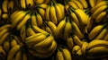 Bannana farming, ecological organic fruit farming