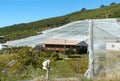 Bannana plantation with netting and greenhouses and residential house in New South Wales Australia Royalty Free Stock Photo