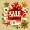 Banner for Autumn sale with colorful seasonal fall leaves and rowan for shopping discount promotion. illustration.