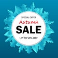 Banner of autumn sale with seasonal fall leaves. Autumn sale tag. Sale promotional material. Design for banner.vector eps10 Royalty Free Stock Photo