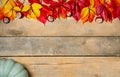 Banner. Autumn wooden background with yellow-red and green leaves, pumpkin and chestnut. Composition on a natural table Royalty Free Stock Photo