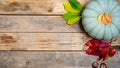 Banner. Autumn wooden background with yellow-red and green leaves, pumpkin and chestnut. Composition on a natural table Royalty Free Stock Photo