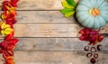 Banner. Autumn wooden background with yellow-red and green leaves, pumpkin and chestnut. Composition on a natural table Royalty Free Stock Photo