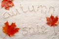 Banner for autumnal sale on white sand Royalty Free Stock Photo