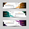 Banner Background Web Design Vector Template With Attractive And Simple Themes with Three Designs