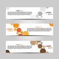 Banner Background Design Vector Template With Attractive And Simple Themes with Three Designs