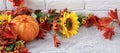 banner with beautiful autumn still life with sunflowers, red- yellow flowers, autumn leaves and orange pumpkin on white Royalty Free Stock Photo