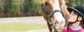 A sweet girl riding a white horse, an athlete engaged in equestrian sports, a girl hugs and kisses a horse. Royalty Free Stock Photo