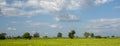 Banner Beautiful landscape mountain green field grass meadow white cloud blue sky on sunny day. panoramic Majestic green scenery Royalty Free Stock Photo