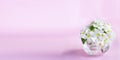 Banner with a beautiful sprig of an apple tree with white flowers in a glass vase against a pink background. Blossoming