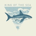 Banner with big hand-drawn shark and sea waves Royalty Free Stock Photo