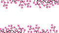 Banner with blossom sakura flowers.Floral wedding invitation card template design. White background of summer pink blooming sakura Royalty Free Stock Photo