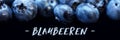 Banner, Blueberries with black background and german Word Royalty Free Stock Photo