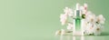 Banner with bottle with serum on mint background with blooming sakura bunch