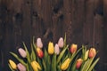 Banner with a bouquet of tulips on a dark wooden background. Flat lay, top view with copyspace, rustic style. Royalty Free Stock Photo