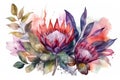 Banner with branches purple protea flowers, plumeria, hibiscus and tropical plants, hand drawn watercolor painting on white backgr Royalty Free Stock Photo