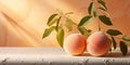 A banner with an bright orange isolated peaches with green leaf on a white uneven surface on a peach fuzz color Royalty Free Stock Photo