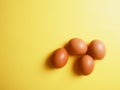 Banner brown eggs on a yellow background with a shadow, modern Easter concept, hidden trend of the year, website banner