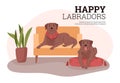 Banner with brown smiling Labrador dogs flat style, vector illustration