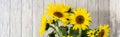 banner of A bunch of sunflowers in a black vase on a rustic white wooden table