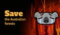 Banner with a burning forest, koala and the inscription Save the Australian Forests. Cartoon vector illustration