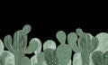 Banner Cactuses hand-painted illustration on black background Exotic desert plant. Inroom plant for home decor