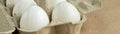 banner of Cardboard egg rack with eggs on rustic background with copy space Royalty Free Stock Photo