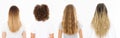 Banner Caucasian and afro woman hair type set back view isolated on white background. African curly hairstyle, ombre and wavy Royalty Free Stock Photo