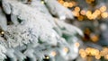 Banner with Christmas blurred background where snow-covered branches of fir and bokeh lights in the background. Royalty Free Stock Photo