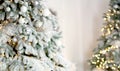 Banner with Christmas blurred background where snow-covered branches of fir and bokeh lights in the background. Royalty Free Stock Photo