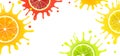 Banner with Citrus Fruits and Splash Juice