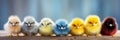 Banner Colorful easter chicks. adorable spring decorations for festive greetings and easter celebrations