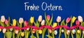 Banner With Colorful Tulip, Frohe Ostern Means Happy Easter, Easter Egg