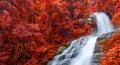 Banner Colourful of Huay Sai Leung Waterfall is a beautiful Waterfalls in the rain forest jungle Thailand Royalty Free Stock Photo