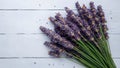 Banner copy space with fresh lavender flowers on white background Royalty Free Stock Photo