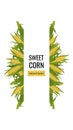 Banner with corn on the cob. Organic food, natural sweet corn vertical frame