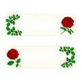 Banner cracks in the porcelain and rose vintage vector Royalty Free Stock Photo