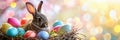 Banner cute bunny with colorful easter eggs in nest , spring and festive background Royalty Free Stock Photo