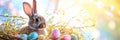 Banner cute bunny with colorful easter eggs in nest , spring and festive background Royalty Free Stock Photo