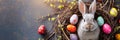 Banner cute bunny with colorful easter eggs in nest , spring and festive background Royalty Free Stock Photo