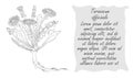 Banner with Dark Bush of Dandelion and Place for Text