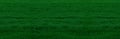 Banner with dark green grass. Texture of green grass Royalty Free Stock Photo