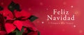 Banner de feliz navidad con flor de noche buena.