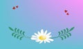 Template for postcard, banner with decorative bread spikelets, chamomile and hearts. Trendy gradient background for your