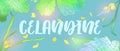 banner design with celandine. Herbal engraved style